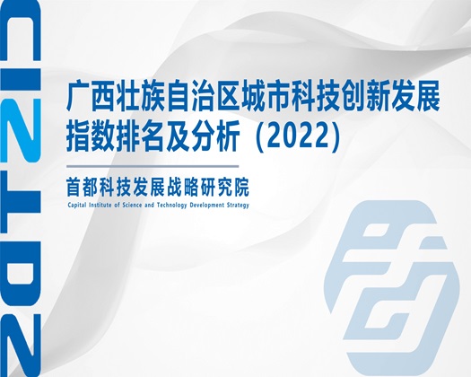 欧美操逼潮吹精典【成果发布】广西壮族自治区城市科技创新发展指数排名及分析（2022）